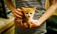 开云体育APP下载-佩德里掌控节奏的艺术，哥斯达黎加绝杀安哥拉背后的战术密码