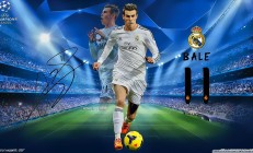 开云下载-从印第安纳到沈阳，哈利伯顿的攻防统治与辽宁队的尼克斯收割术