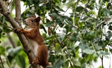 开云体育入口-猛龙绝杀鹈鹕，克莱在2026世界杯接管比赛，跨越时空的传奇瞬间