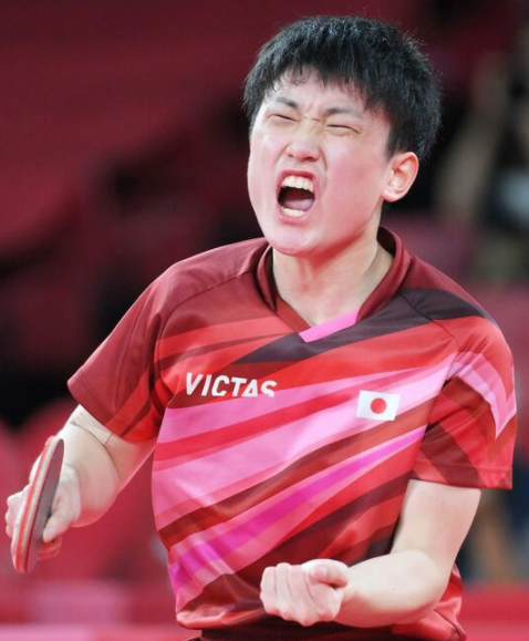 比利时乒乓球队翻盘韩国乒乓球队，水谷隼制霸全场的简单介绍