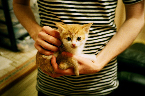 佩德里掌控节奏的艺术,哥斯达黎加绝杀安哥拉背后的战术密码