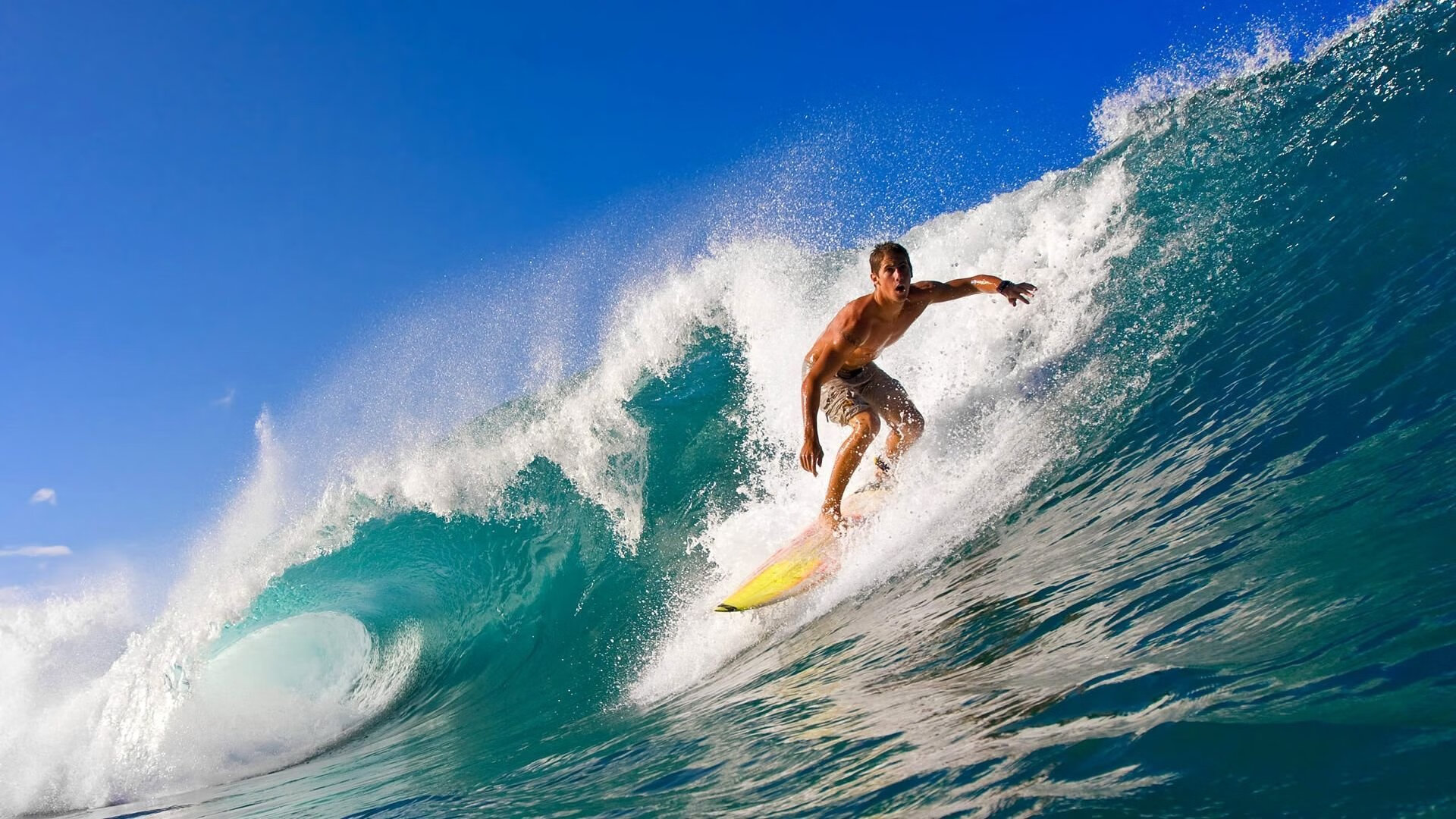 猛龙生死战力克老鹰,马克西末节爆发成关键先生