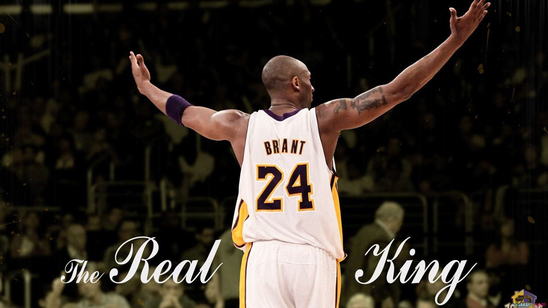 魔术绝杀掘金,高诗岩关键制胜,一场逆转乾坤的篮球史诗